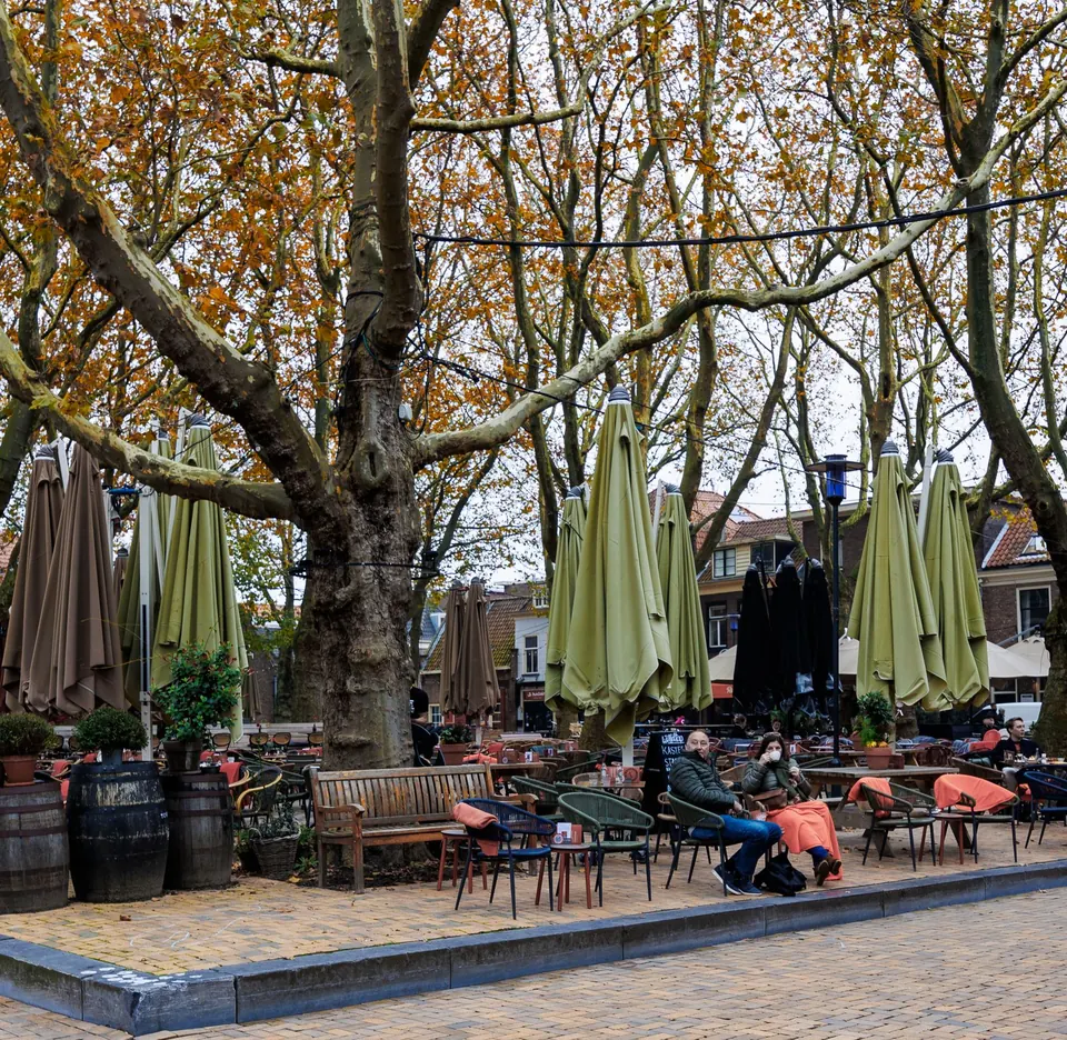 Terras op een plein onder oude platanen, met opgeklapte parasols en bakstenen huizen erachter